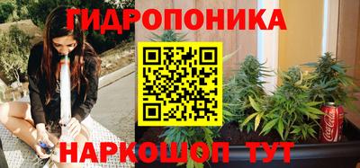 PSILOCYBIN Гагарин