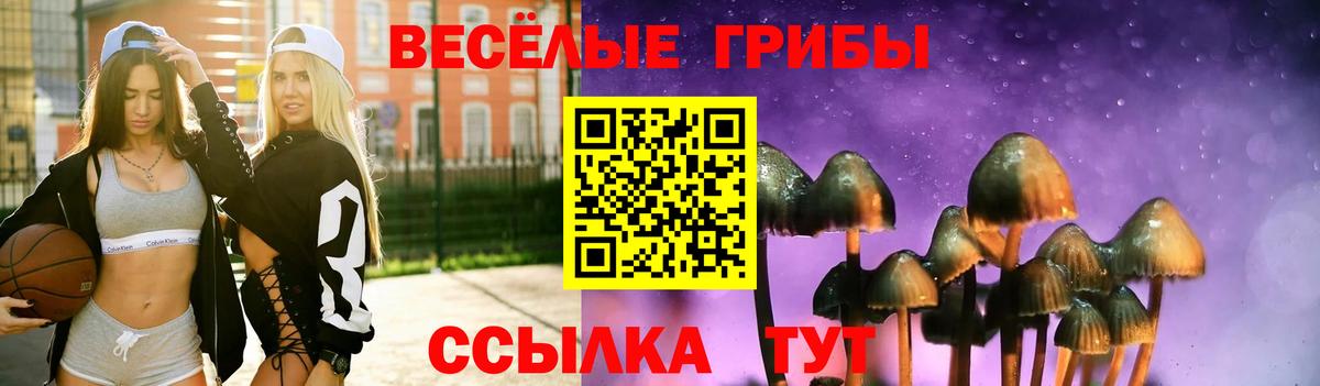 Галлюциногенные грибы Psilocybe Орёл